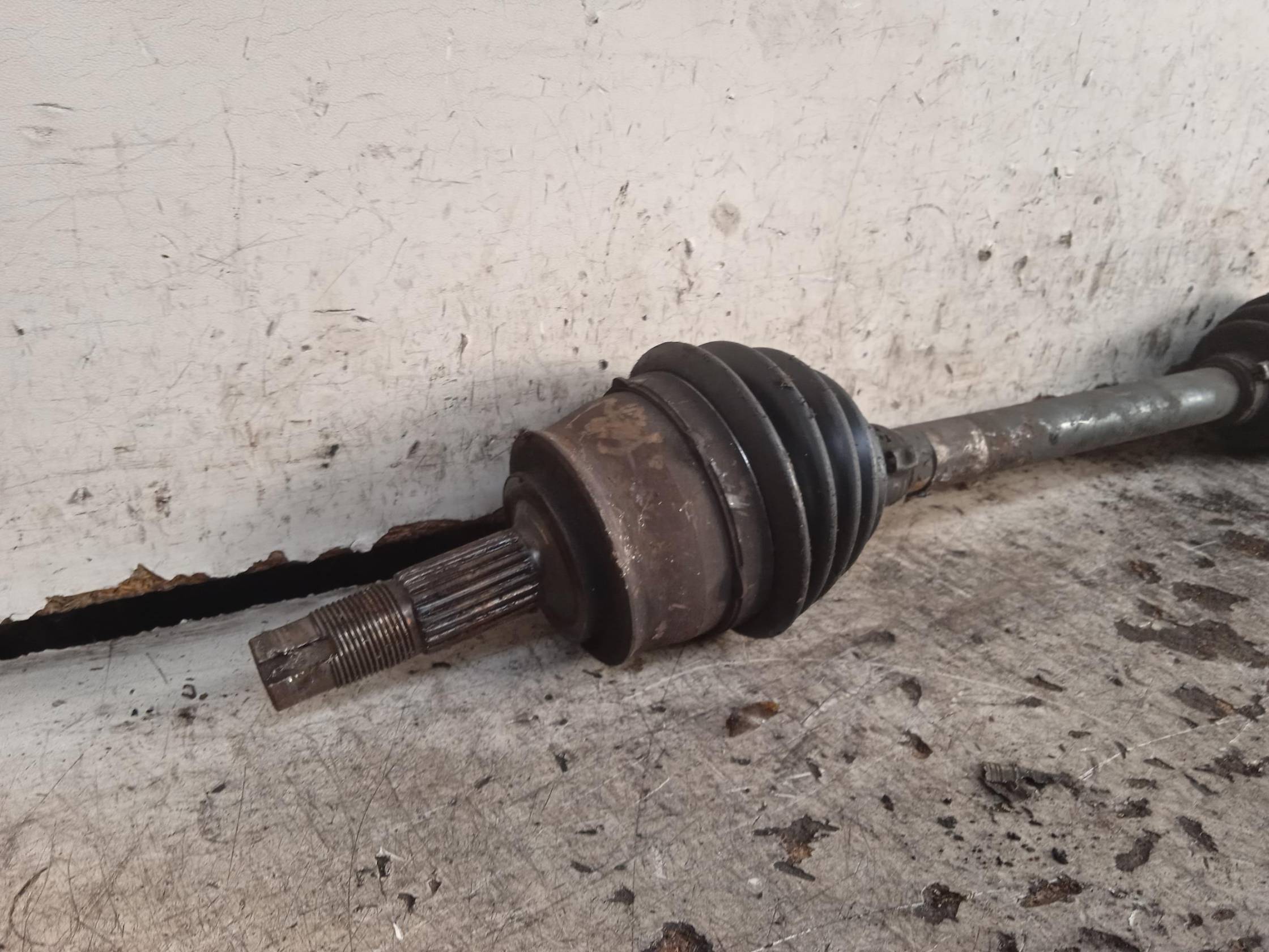 Semialbero ant. compl. sx.